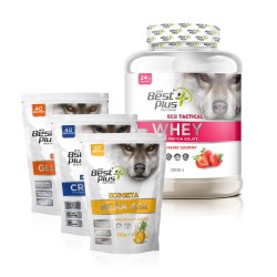 BPN Best Plus Nutrition Eco Tactical Kombinasyon Paketi ( Whey Protein Çilek Aromalı + Bcaa + Glutamine + Ceatine)